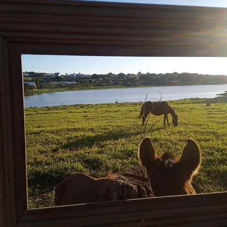 Hostel Santuario De Protecao Animal Filhos De Salomao Bragança Paulista Εξωτερικό φωτογραφία