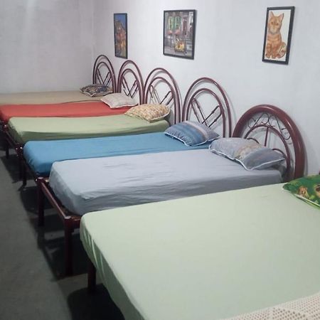 Hostel Santuario De Protecao Animal Filhos De Salomao Bragança Paulista Εξωτερικό φωτογραφία