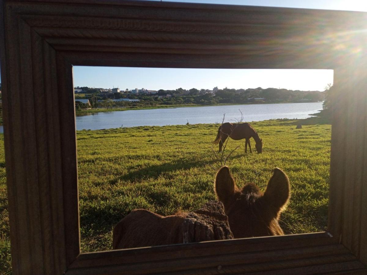 Hostel Santuario De Protecao Animal Filhos De Salomao Bragança Paulista Εξωτερικό φωτογραφία