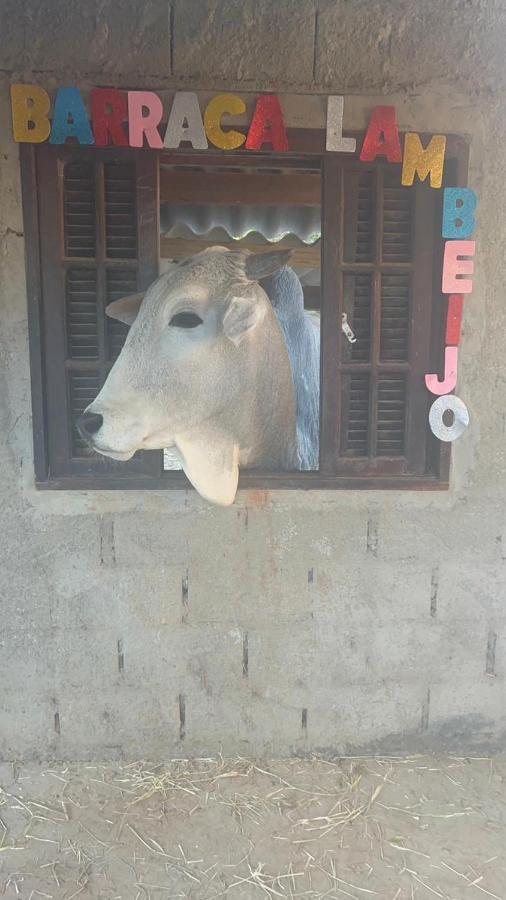 Hostel Santuario De Protecao Animal Filhos De Salomao Bragança Paulista Εξωτερικό φωτογραφία