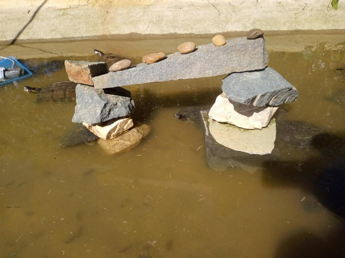 Hostel Santuario De Protecao Animal Filhos De Salomao Bragança Paulista Εξωτερικό φωτογραφία