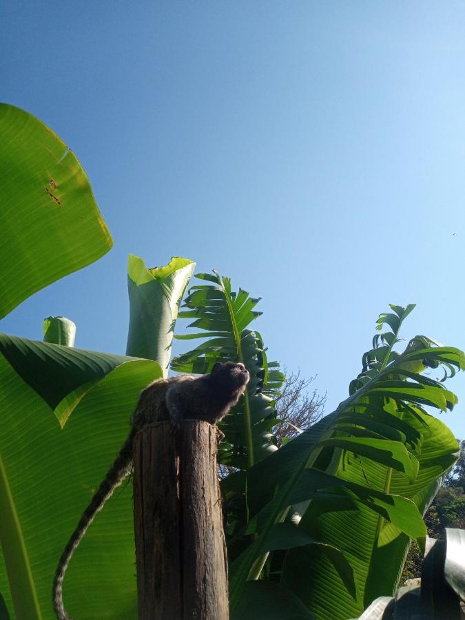 Hostel Santuario De Protecao Animal Filhos De Salomao Bragança Paulista Εξωτερικό φωτογραφία